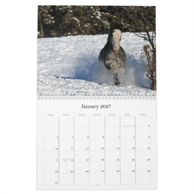 Equine Images 2011 Calendar (Jan 2027)