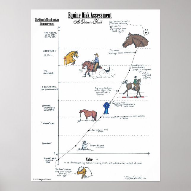 Equine Risk Assessment LARGE Poster (Front)