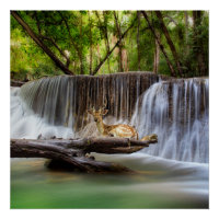 Erawan Waterfall with Deer Relaxing 