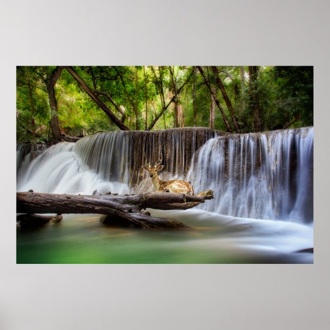 Erawan Waterfall with Deer Relaxing   Poster (Front)