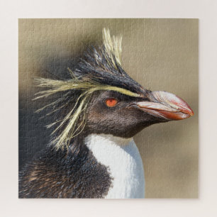 Erect-crested penguin jigsaw puzzle