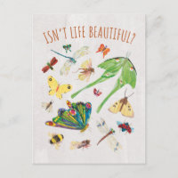 Eric Carle | Isn’t Life Beautiful