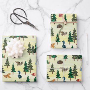 Eric Carle   Ready for Forest Fun Pattern Wrapping Paper Sheet