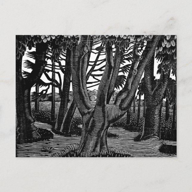 Eric Ravilious art, Woodland Outside Florence,  Postcard (Front)