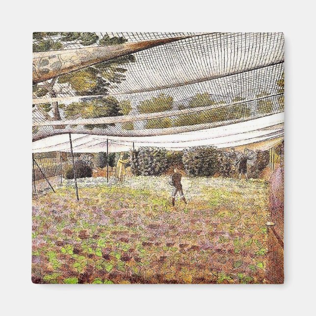 Eric Ravilious artwork, Strawberry Nets Magnet (Front)