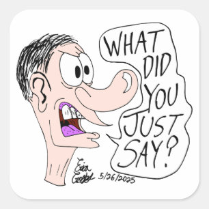 Erica Crooks Comics - What did you just say ? Square Sticker