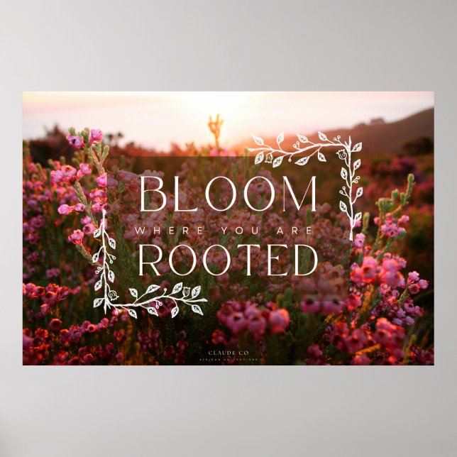 Erica Range Poster - Bloom Where You Are Rooted (Front)