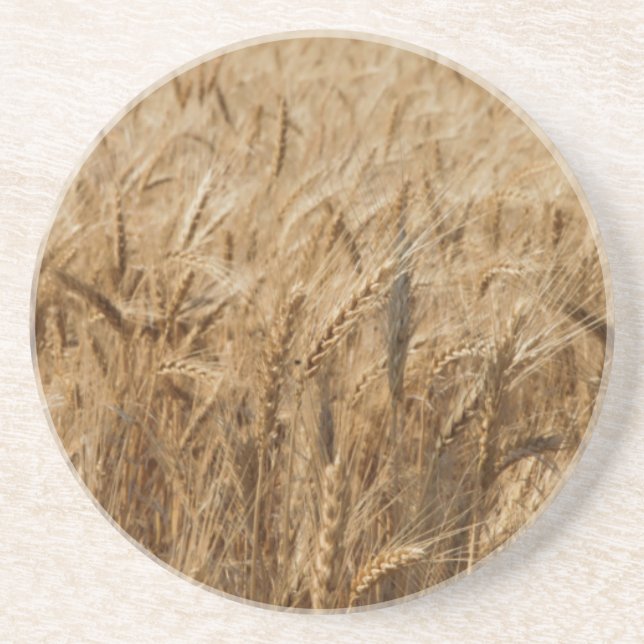 Erick, Oklahoma Route 66 Coaster (Front)