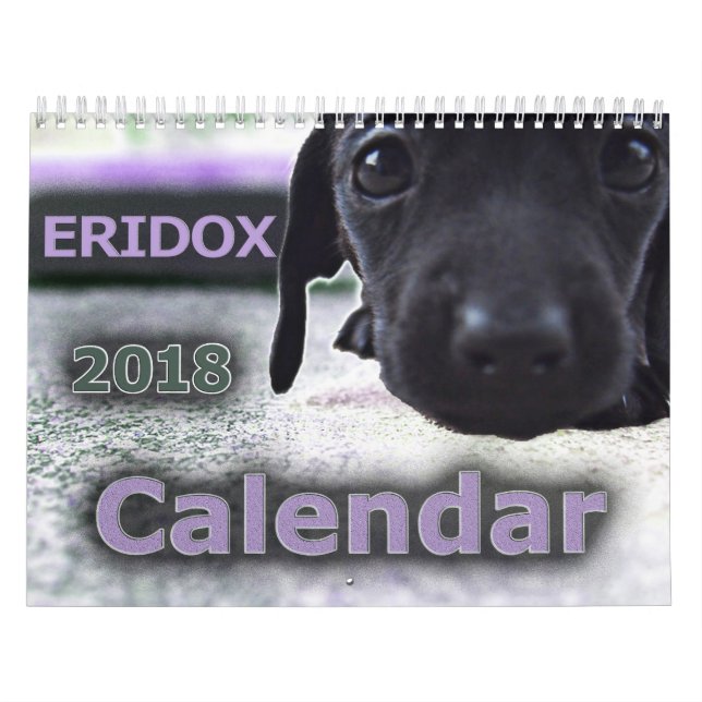 Eridox Dachshunds 2018 Calendar (Cover)