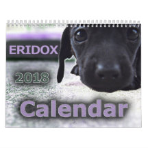 Eridox Dachshunds 2018 Calendar