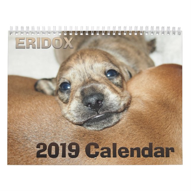 Eridox Dachshunds 2019 Calendar (Cover)