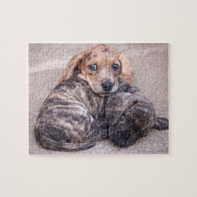 Eridox Dachshunds Epic & Saga Puppy Puzzle (Horizontal)