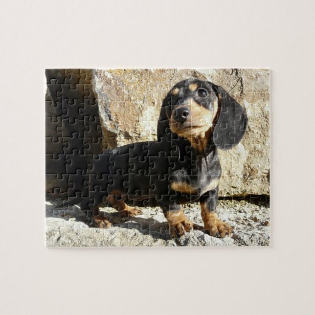 Eridox Dachshunds Karma Puppy Puzzle (Horizontal)
