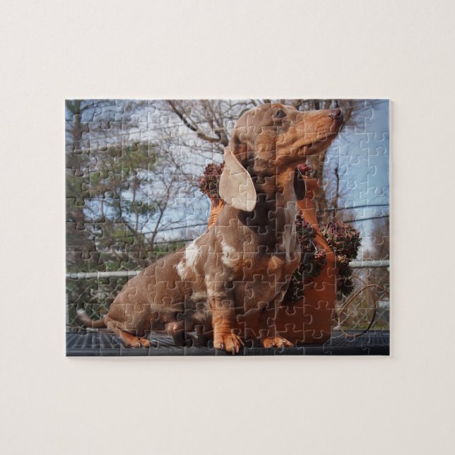Eridox Dachshunds Nephele Puzzle (Horizontal)