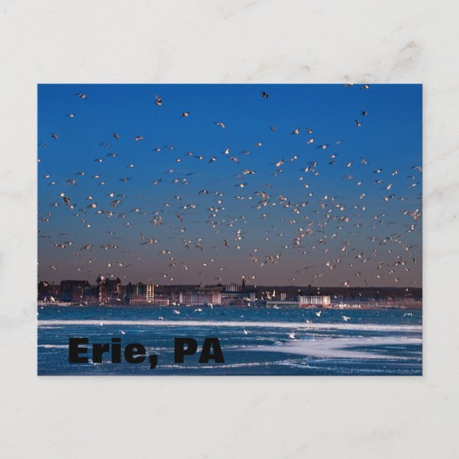 Erie, PA skyline Postcard (Front)