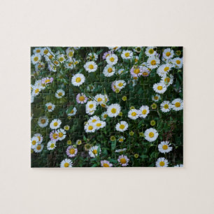 Erigeron Daisies Puzzle