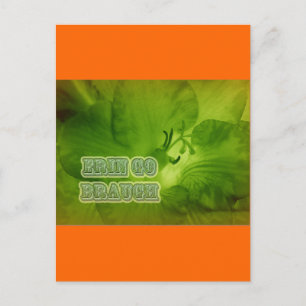 Erin Go Braugh Green Freesia Items Postcard