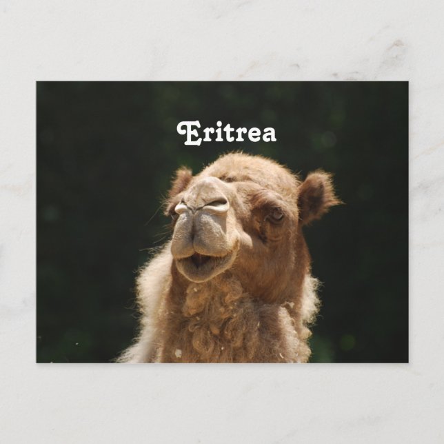 Eritrea Postcard (Front)