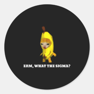 Erm, What Sigma_ Cat Meme Men Women Girls Kids Classic Round Sticker