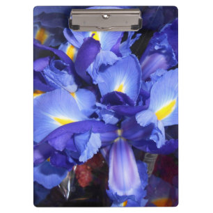 Ermengarde Clipboard