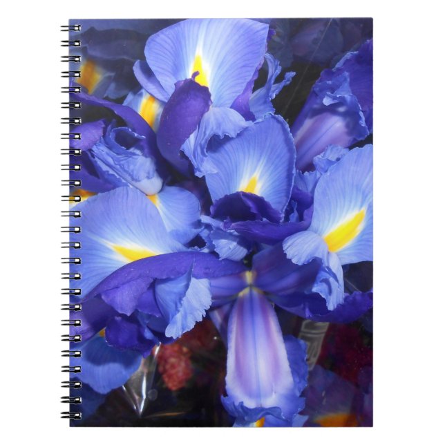 Ermengarde Notebook (Front)