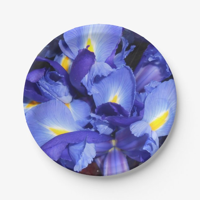 Ermengarde Paper Plate (Front)