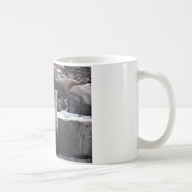 Ermine On Snowy Rocks Coffee Mug (Right)