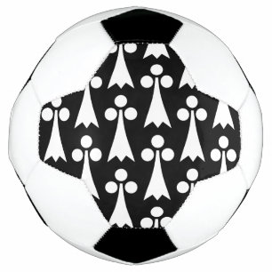 Ermine Pattern, Mediaeval Pattern, White on Black Soccer Ball