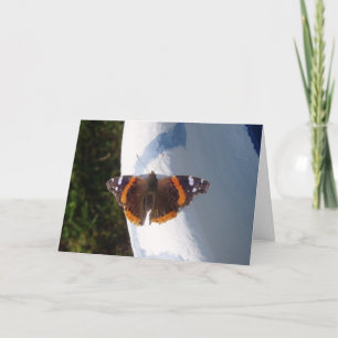 "Ernie the Butterfly" Get Well Card