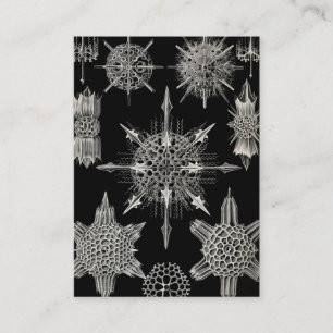Ernst Haeckel Acanthophracta Business Card
