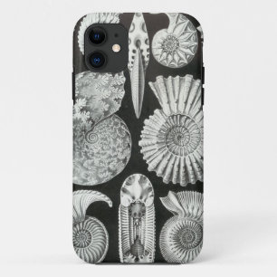 Ernst Haeckel - Ammonitida Case-Mate iPhone Case