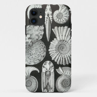 Ernst Haeckel - Ammonitida Case-Mate iPhone Case