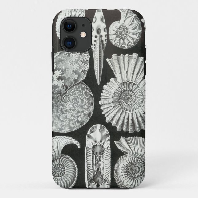 Ernst Haeckel - Ammonitida Case-Mate iPhone Case (Back)
