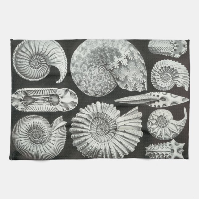 Ernst Haeckel Ammonitida fossils Tea Towel (Horizontal)