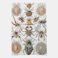Ernst Haeckel Arachnida Spiders Poster Case-Mate i