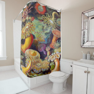 Ernst Haeckel Art Print:Actiniae Shower Curtain