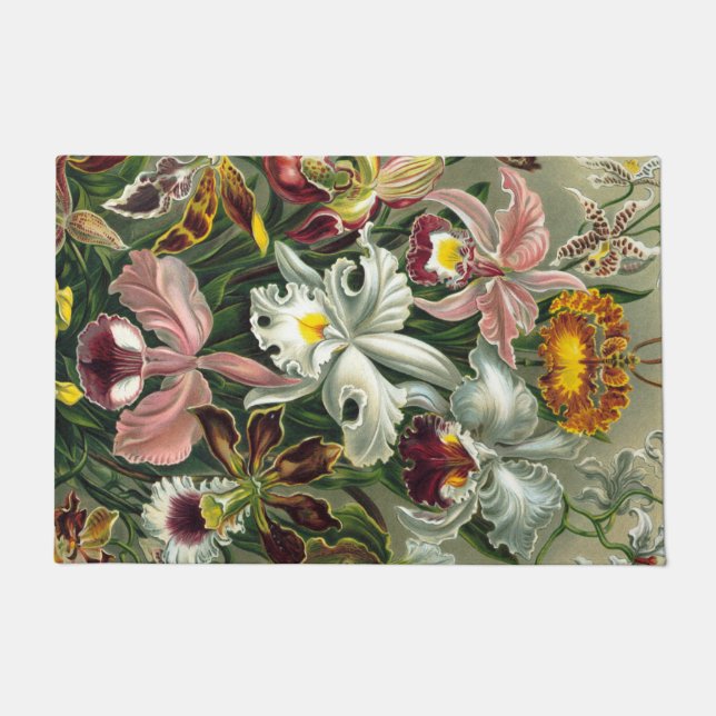 Ernst Haeckel Art Print:Orchidae Oncidiums, tulips Doormat (Front)