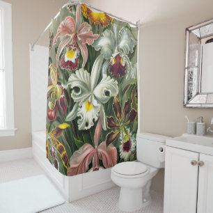 Ernst Haeckel Art Print:Orchidae Oncidiums, tulips Shower Curtain