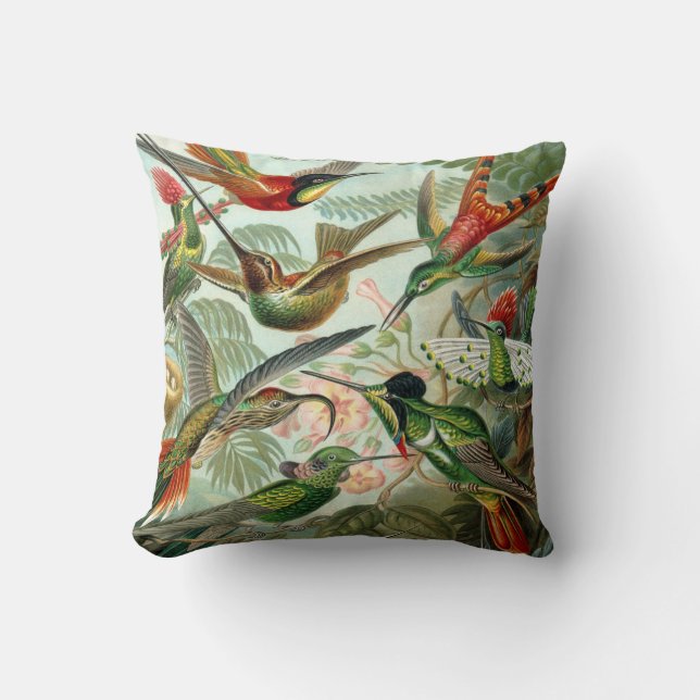 Ernst Haeckel Art Print: Trochilidae Cushion (Front)