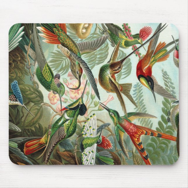 Ernst Haeckel Art Print: Trochilidae Mouse Pad (Front)