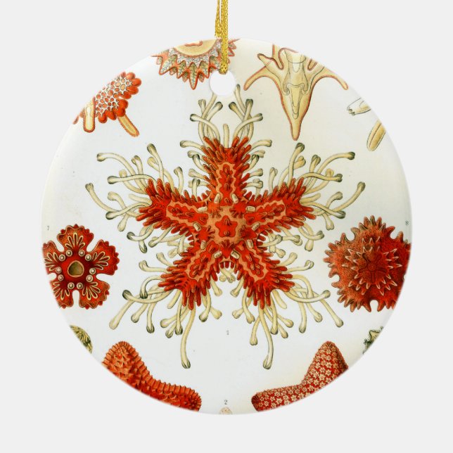 ernst haeckel artwork ceramic tree decoration (Back)