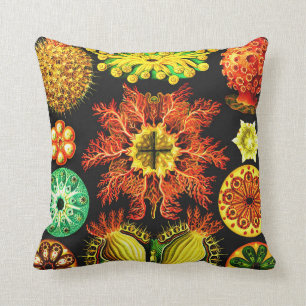 Ernst Haeckel Ascidiae Cushion