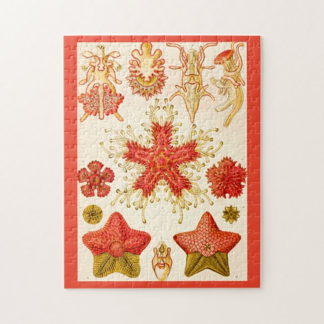 Ernst Haeckel Asteridea Jigsaw Puzzle (Vertical)
