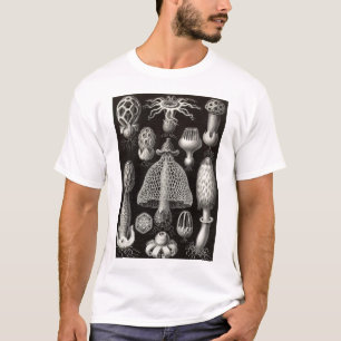 Ernst Haeckel - Basimycetes Mushrooms T-Shirt