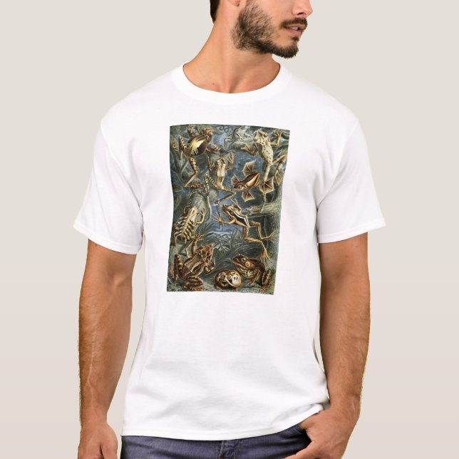 Ernst Haeckel - Batrachia T-Shirt (Front)