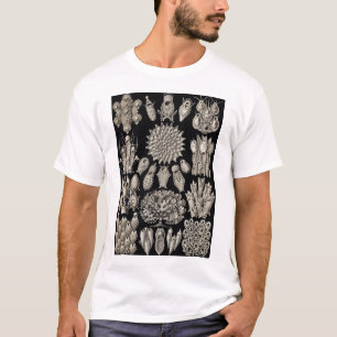 Ernst Haeckel - Bryozoa2 Tshirt