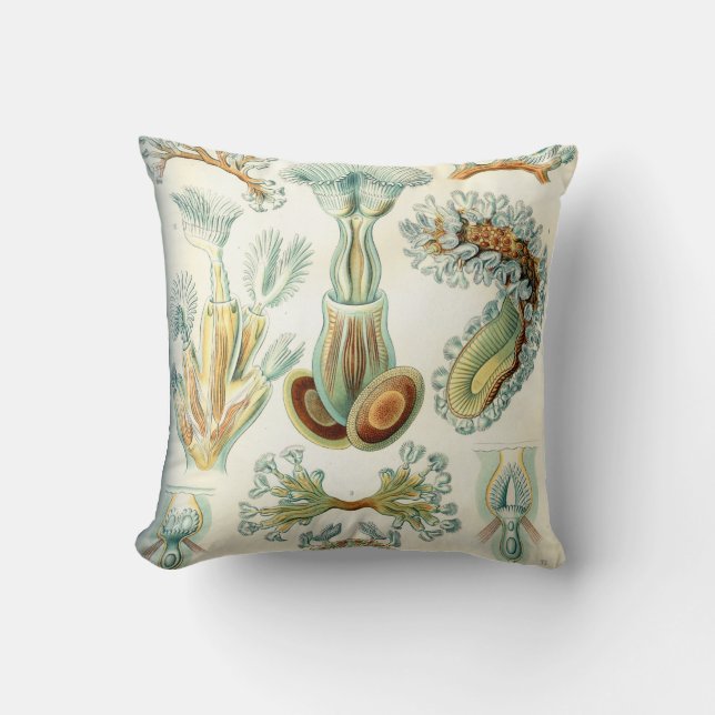 Ernst Haeckel Bryozoa invertebrates Cushion (Front)