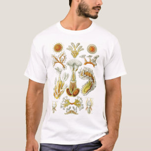 Ernst Haeckel - Bryozoa Tshirt
