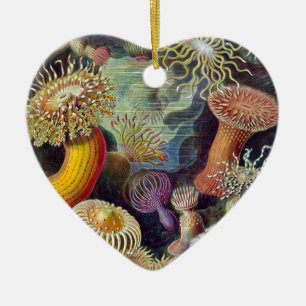 Ernst Haeckel Ceramic Tree Decoration