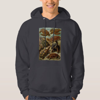 Ernst Haeckel - Chelonia Hoodie